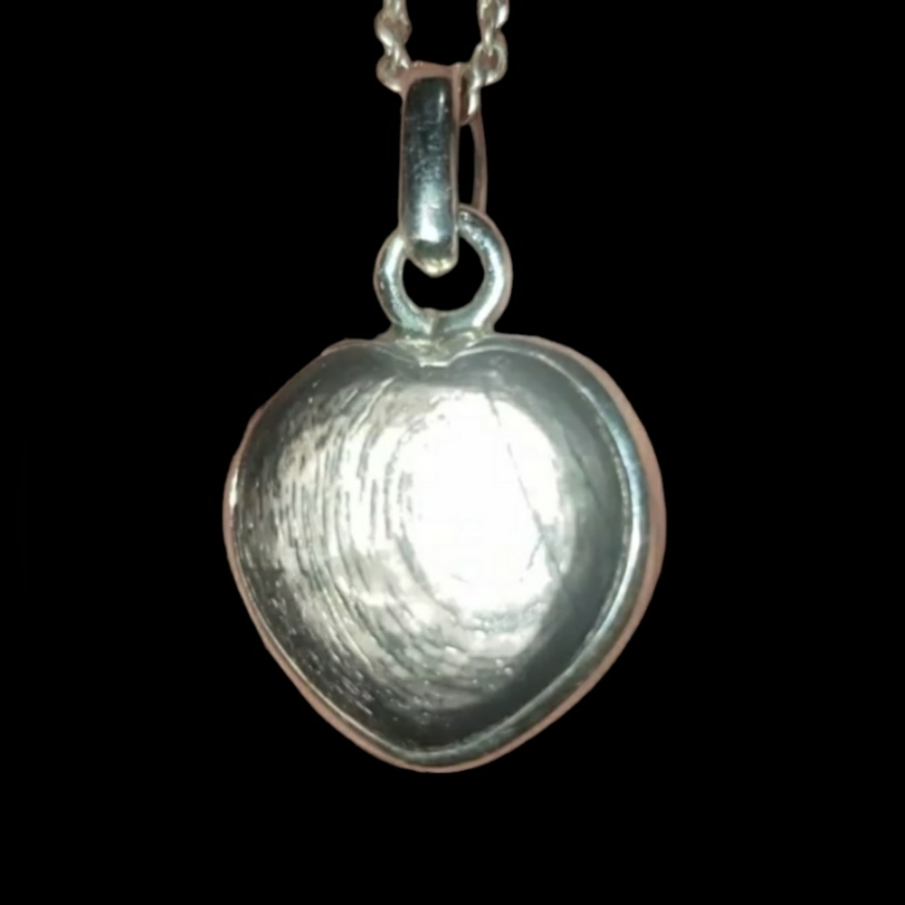 Hypersthene Heart Pendant Necklace ~ 925 Sterling Silver
